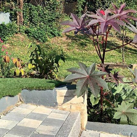 Au Fond Du Jardin Villa Wintzenheim-Kochersberg Dış mekan fotoğraf